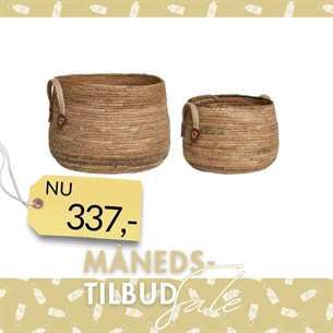 Aosta Kurve, Bananflet. 2 stk