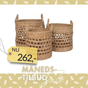 Balok kurve, søgræs. Natur. 3 stk 