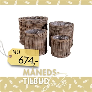 Bogor Kurve, kubu rattan, natur sæt af 4