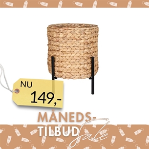 Antas Planteskjuler