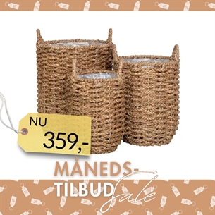 Kurve, søgræs. 
