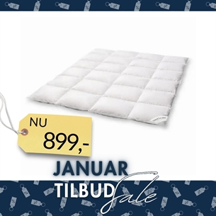 Nordic Heaven Gåsedunsdyne – Model Comfort (200 x 200 cm)