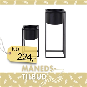 Marla Blomsterstandere - Sæt