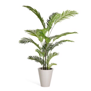 Palme Træ 150 cm