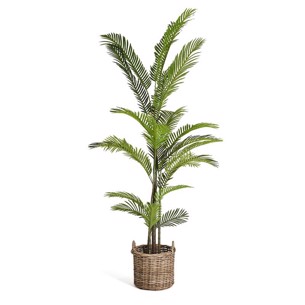 Palme Træ 220 cm