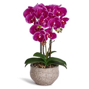 orkide 42 cm - mørke lilla  