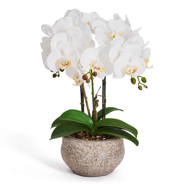 Orkide 42 cm - hvid 