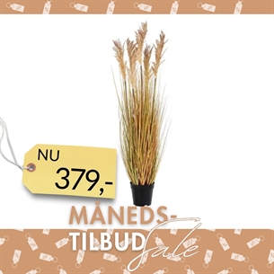  Kunstig Sorghum Grass