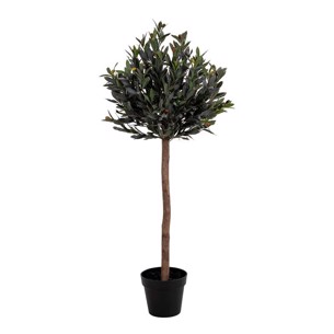 Oliventræ 120cm 