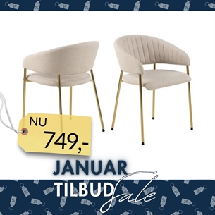 Ann Spisebordsstol med Armlæn – Beige